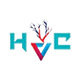 Harsha Vascular Centre
